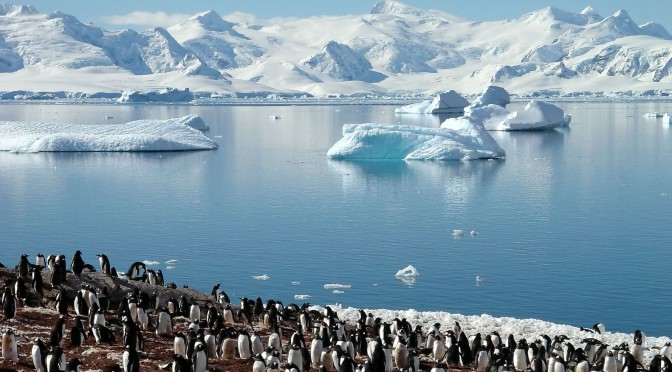 Antarctic Pollution Issues